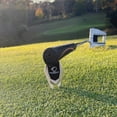 thumbnail image 1 of Silver Divot Tool, 1 of 3
