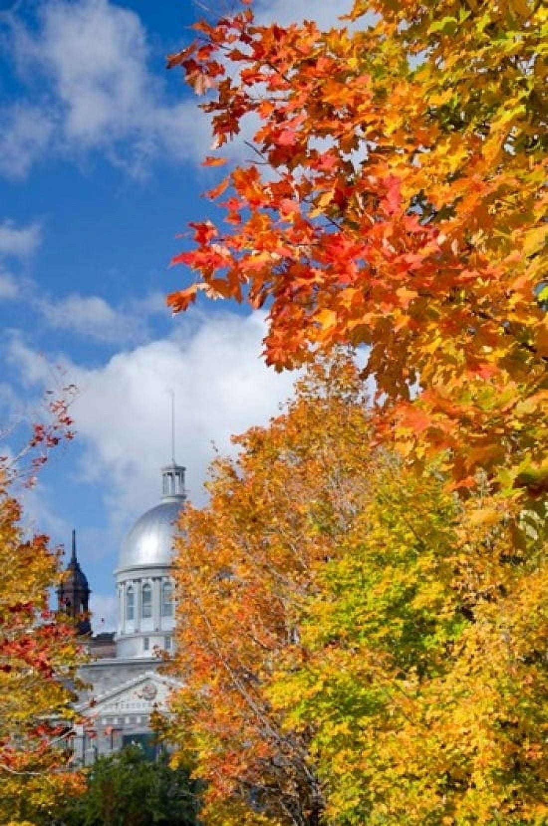 Silver Dome of Bonsecours Market Canvas Art - Cindy Miller Hopkins DanitaDelimont (24 x 36)