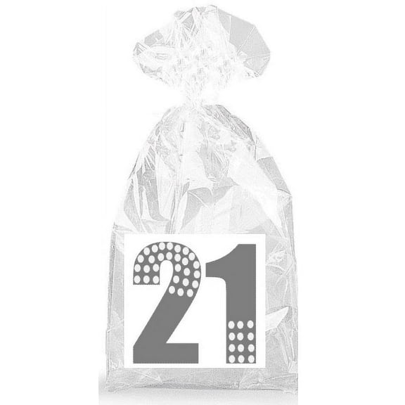 Silver Dotted 21st Birthday Party Favor Bags with Ties - 12pack