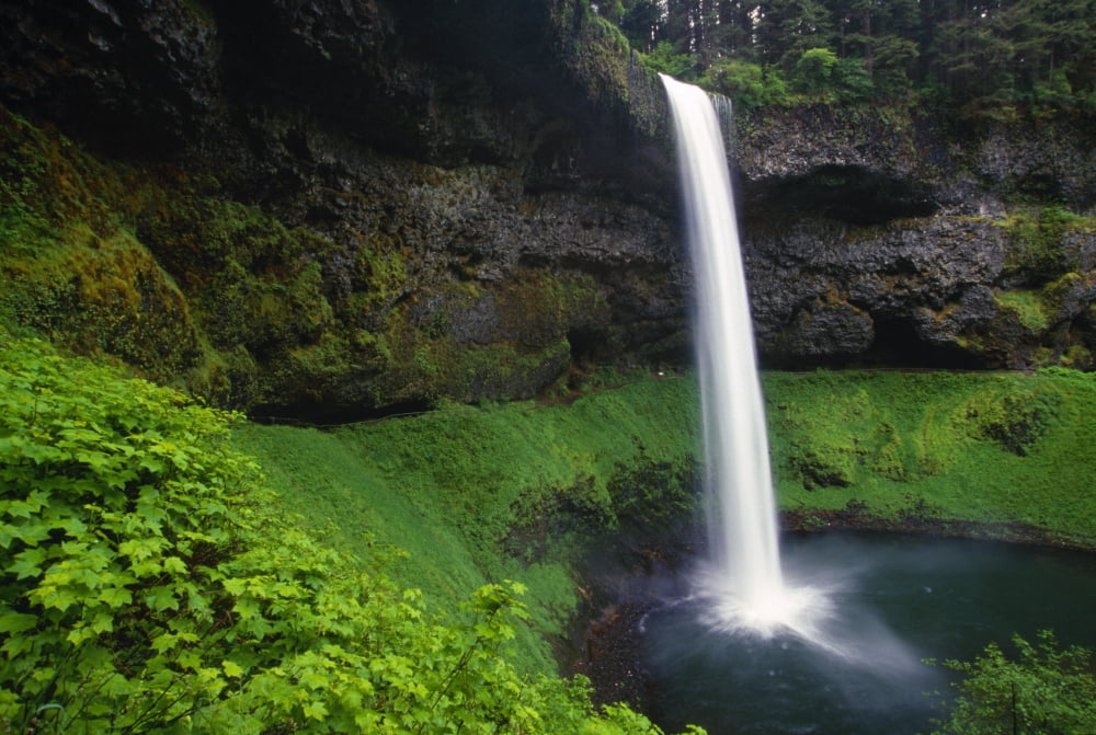 Silver Falls State Park Oregon Usa Canvas Art - Natural Selection Craig Tuttle Design Pics (36 x 24)