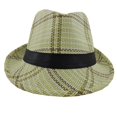 thumbnail image 1 of Silver Fever Stylish Banded Fedora Hat with Ribbon, 1 of 5