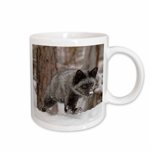 3drose, Silver Fox a Melanistic Form of the Red Fox, Montana, 15oz Mug