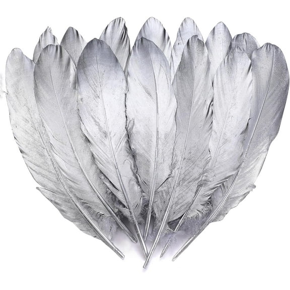 Silver Goose Feathers for Crafts - 6-8 inch 60 pcs Natural Feathers for Wedding Party Decorations,DIY Crafts and Clothing Accessories (Silver)