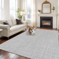 thumbnail image 1 of Silver Gray Solid Washable Area Rug 6x9 Minimalist Cloth Cool Gray Linen Texture Industrial Low-Profile Area Rugs Non Slip Backing Indoor Floor Carpet for Entrance Living Room Bedroom Home Office, 1 of 9