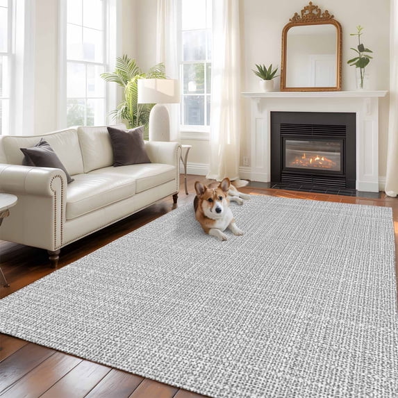 Silver Gray Solid Washable Area Rug 6x9 Minimalist Cloth Cool Gray Linen Texture Industrial Low-Profile Area Rugs Non Slip Backing Indoor Floor Carpet for Entrance Living Room Bedroom Home Office