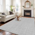 thumbnail image 1 of Silver Gray Solid Washable Area Rug 8x10 Minimalist Cloth Cool Gray Linen Texture Industrial Low-Profile Area Rugs Non Slip Backing Indoor Floor Carpet for Entrance Living Room Bedroom Home Office, 1 of 9