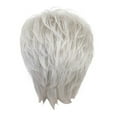 thumbnail image 1 of Silver Gray Synthetic Party Wig for Women Protective Hair Cover Headpiece Decoration, 1 of 8