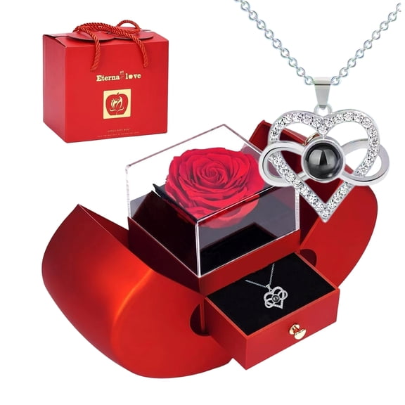 Silver Heart Infinity Projection Necklace with 100 Languages I Love You, Red Preserved Real Rose Apple Shaped Jewelry Gift Box Complete Gift Set with Gift Bag for Anniversary Valentine Birthday