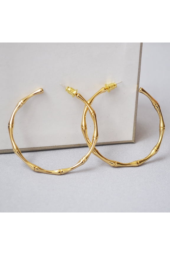Silver Hoop Earrings Sterling Silver Circle Endless Big Earrings Hoops Jewelry,Fashion Gold Hoop Earring for Women,Daimeter 20,30,40,50,60,70,80mm