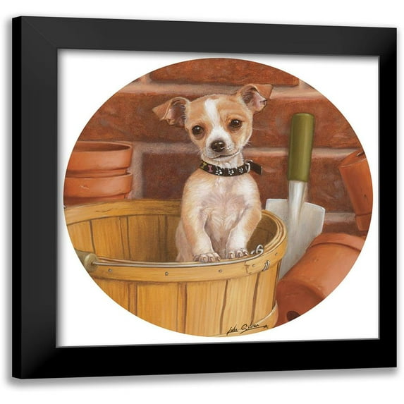 Silver, John 12x12 Black Modern Framed Museum Art Print Titled - Chihuahua In Basket
