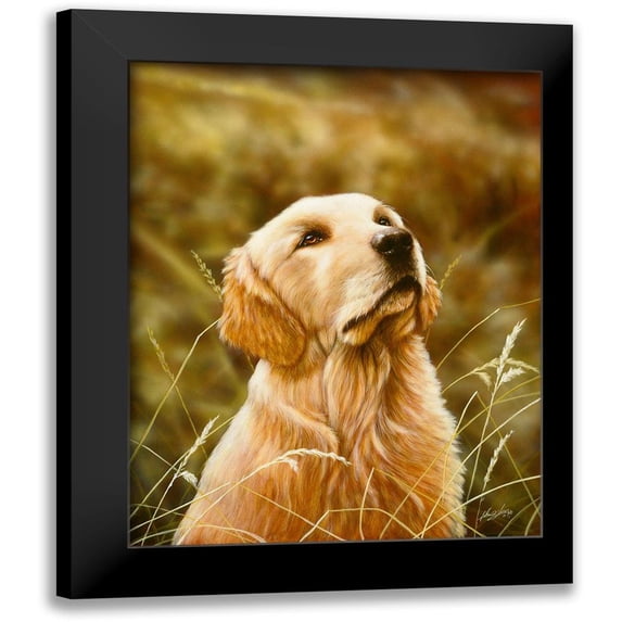 Silver, John 12x14 Black Modern Framed Museum Art Print Titled - Js69-B