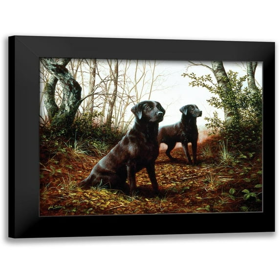 Silver, John 14x12 Black Modern Framed Museum Art Print Titled - Js25-C