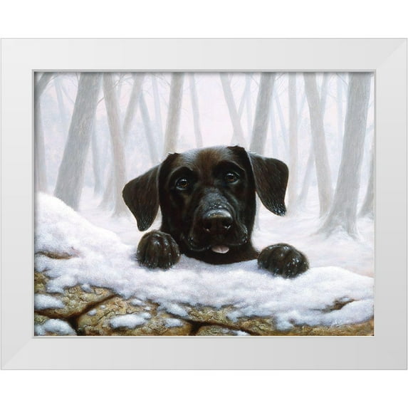 Silver, John 14x12 White Modern Wood Framed Museum Art Print Titled - Js52-C