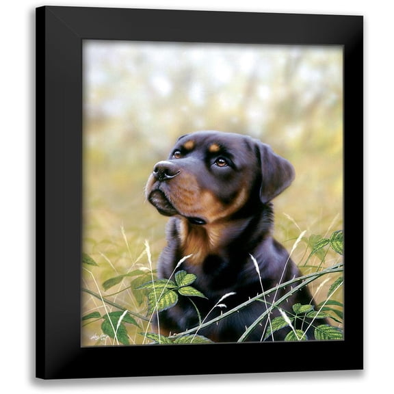 Silver, John 20x24 Black Modern Framed Museum Art Print Titled - Spirit Of Loyalty