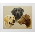 thumbnail image 1 of Silver, John 24x20 White Modern Wood Framed Museum Art Print Titled - 136, 1 of 4