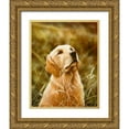 thumbnail image 1 of Silver, John 26x32 Gold Ornate Wood Framed with Double Matting Museum Art Print Titled - Js69-B, 1 of 4