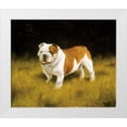 thumbnail image 1 of Silver, John 30x26 White Modern Wood Framed Museum Art Print Titled - Js113-C, 1 of 4