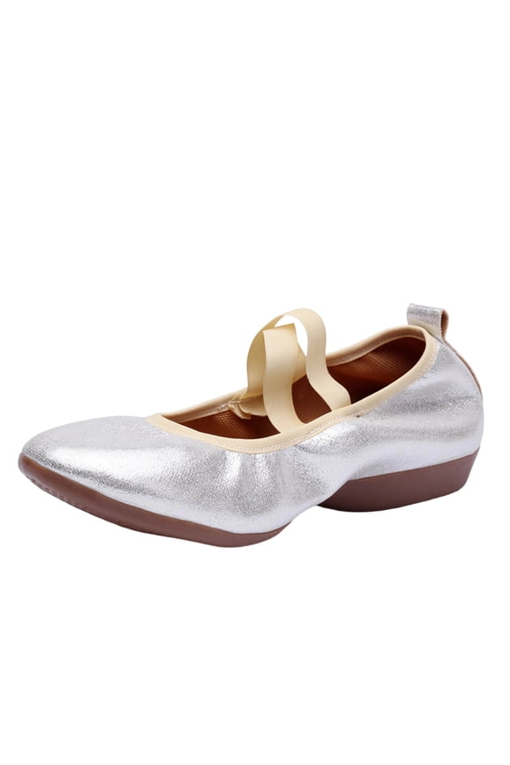 Silver Ladies Silver Nylon Spandex Dance Shoes Mid Heel Adult Practice Footwear Plus Size Comfortable Ballet Shoes