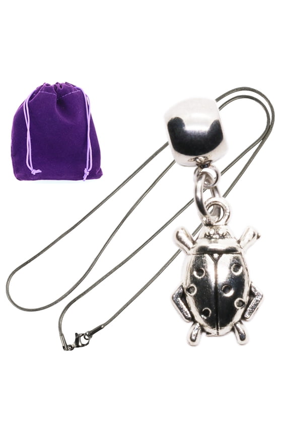 Silver Ladybug Pendant Necklace, Lady Bug Charm on Delicate Chain with Gift Pouch, Lady Bug Accessories for Women Nature Inspired Jewelry