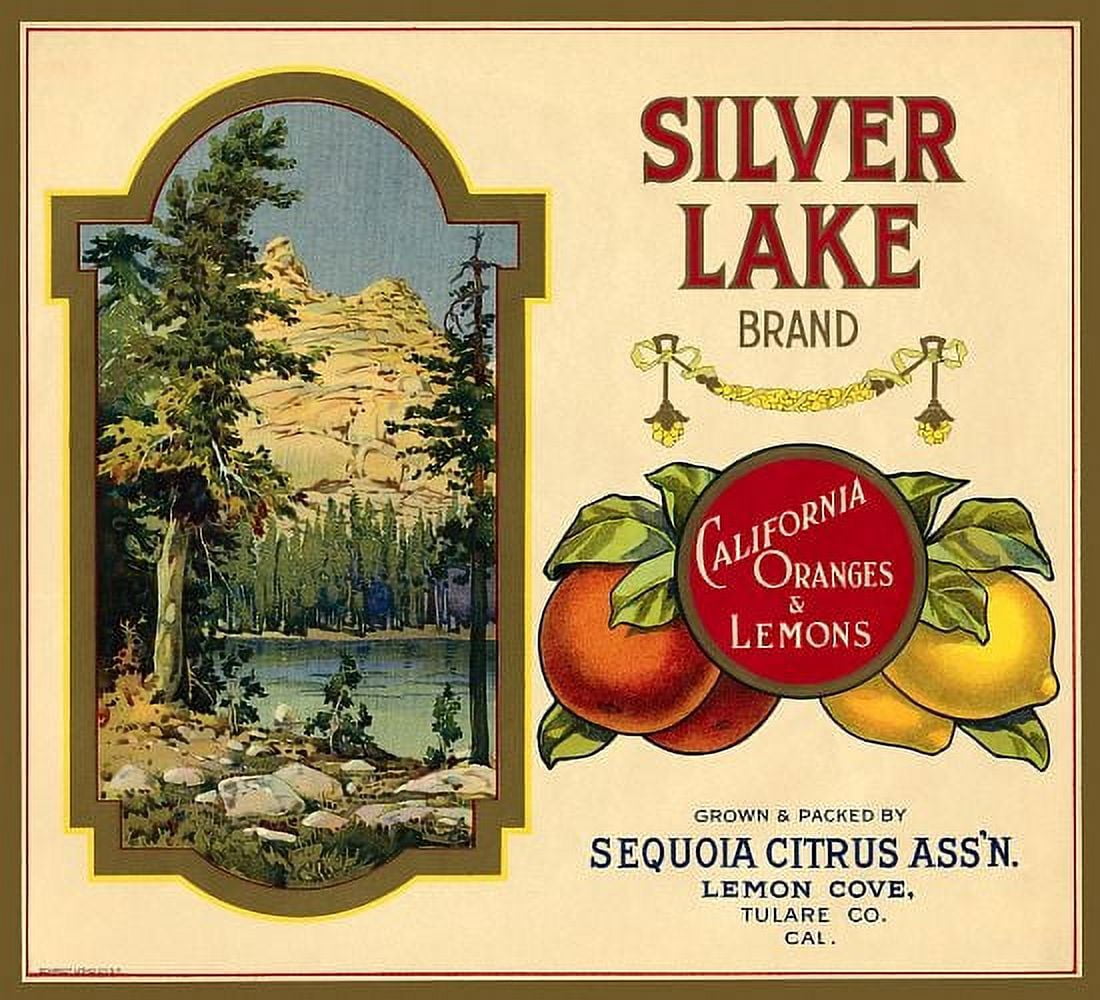 Silver Lake Oranges and Lemons Canvas Art - (24 x 36)