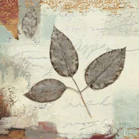 Silver Leaves II Canvas Art - James Wiens (24 x 24)
