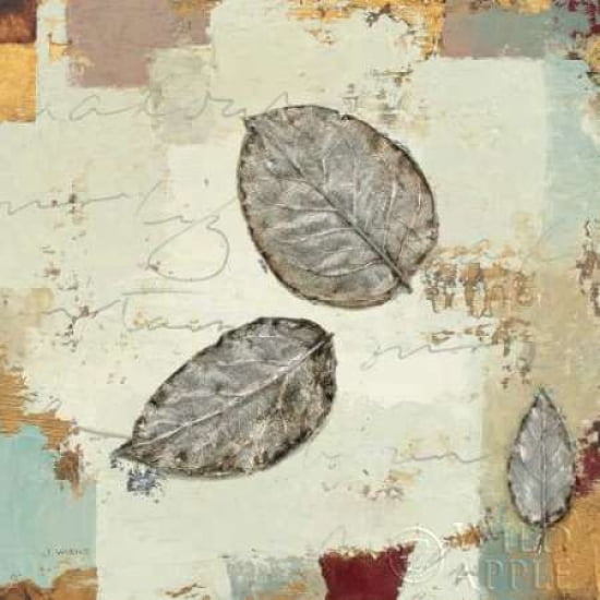 Silver Leaves IV Canvas Art - James Wiens (24 x 24)