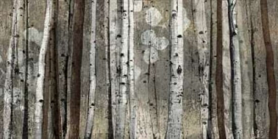 Silver Lining Canvas Art - Tandi Venter (24 x 48)