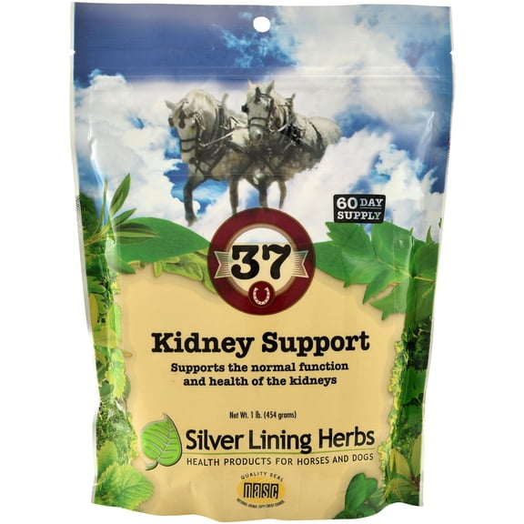 Silver Lining Herbal Equine Silver Lining Kidney Support