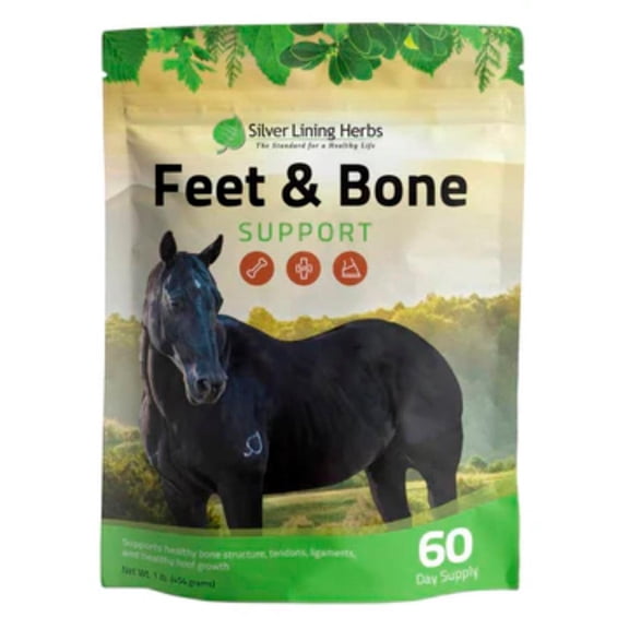 Silver Lining Herbs Silver Lining Foot And Bone Support