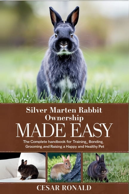Silver Marten Rabbit Ownership Made Easy: The Complete Handbook For ...