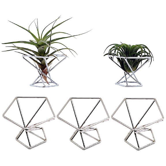 Silver Metal Air Plant Holder Stand 5Pack, Tillandsia Fern Display Container Desktop Planter Rack Decor