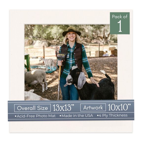 Silver Mist Picture Frame Mat for 13x13 Frames - Fits 10x10 Photos - 1 Mat