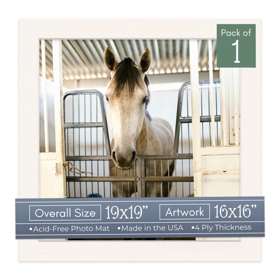 Silver Mist Picture Frame Mat for 19x19 Frames - Fits 16x16 Photos - 1 Mat