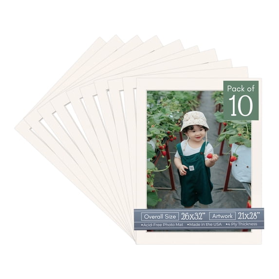 Silver Mist Picture Frame Mat for 26x32 Frames - Fits 21x28 Photos - 10 Mats