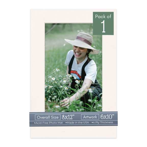 Silver Mist Picture Frame Mat for 8x12 Frames - Fits 6x10 Photos - 1 Mat