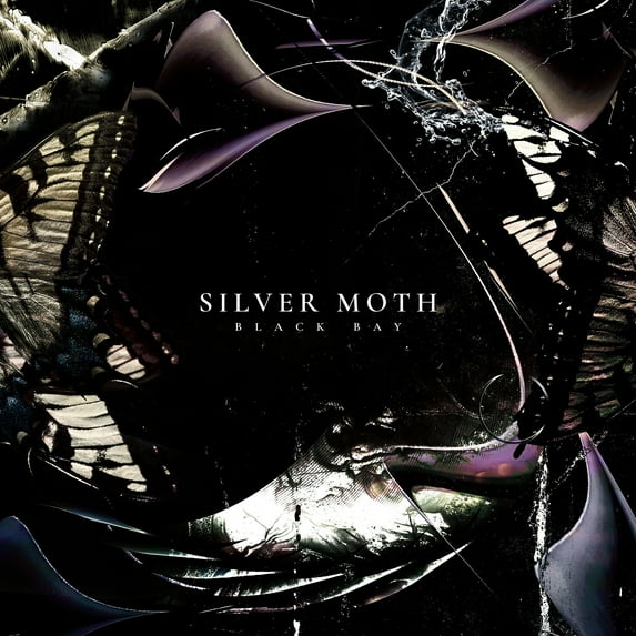 Silver Moth - Black Bay - Music & Performance - CD