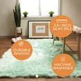 thumbnail image 1 of Silver Orchid  Parrott Faux Fur Sheepskin Area Rug Mint Green 4' x 6' 4' x 6' Indoor Living Room Rectangle, 1 of 5