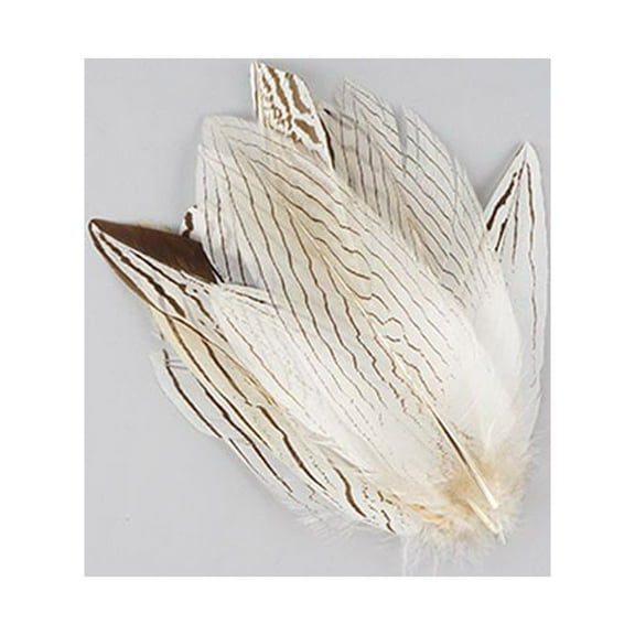 Silver Pheasant Tail Feathers - Natural