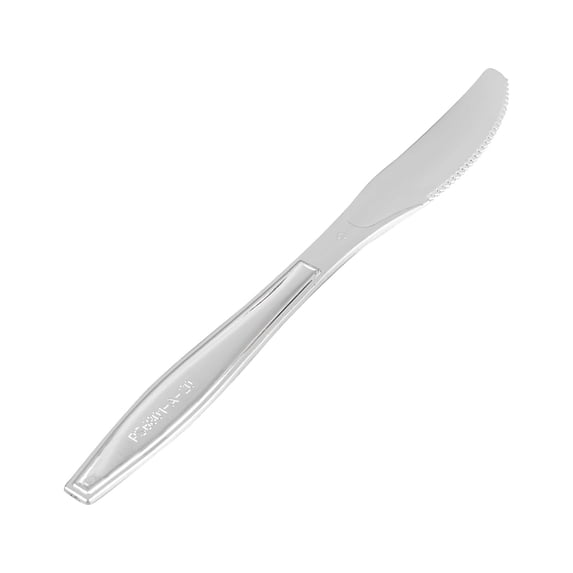 Silver Plastic Argento Spoon - 7" - 250 count box