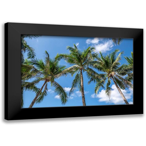 Silver, Richard 18x13 Black Modern Framed Museum Art Print Titled - Palawan Palm Trees I