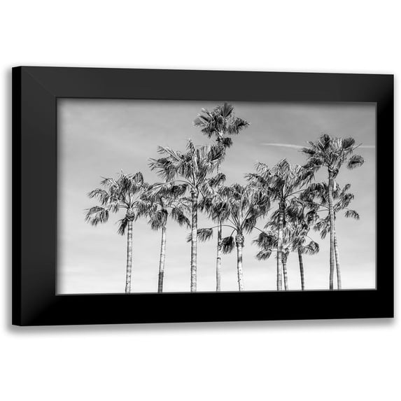 Silver, Richard 24x17 Black Modern Framed Museum Art Print Titled - California Palms III