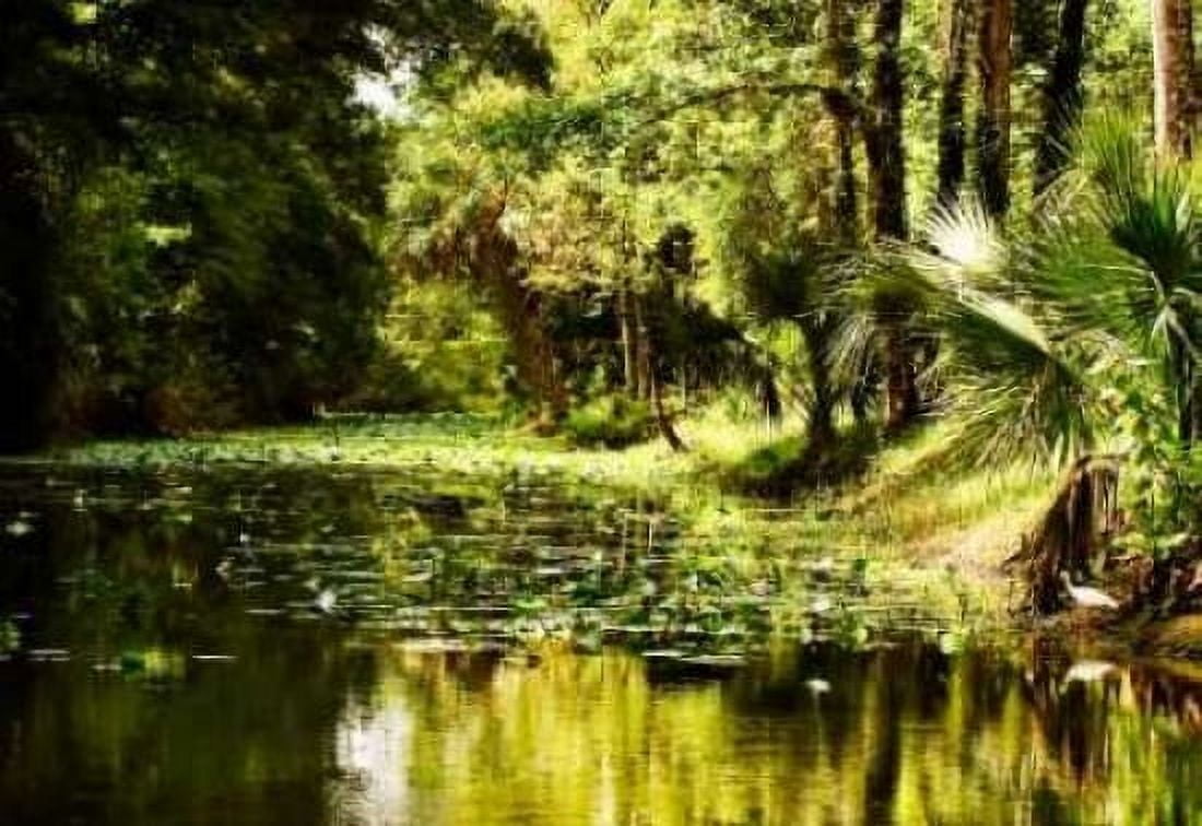 Silver River III Canvas Art - Alan Hausenflock (20 x 28)
