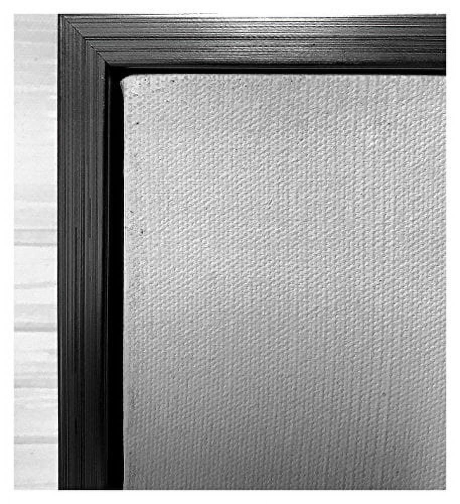  Brushed Silver Floater Frame for 1.5 Inch Deep Canvas, 16x20:  Posters & Prints
