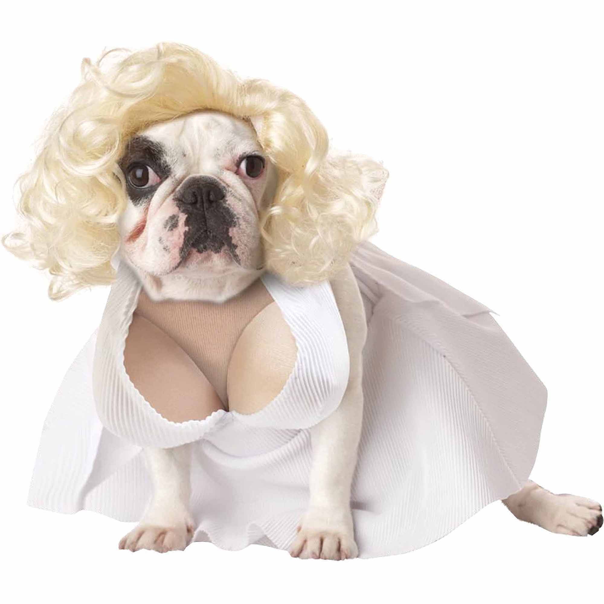 Silver Screen Starlet Pet Pet Costume - Large