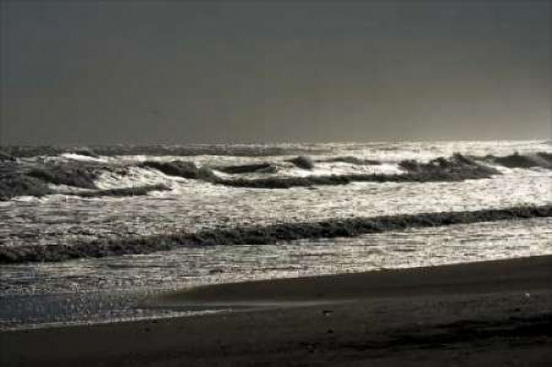 Silver Sea II Canvas Art - Alan Hausenflock (24 x 36)