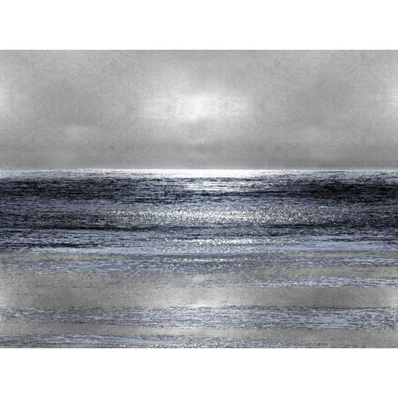 Silver Seascape III Poster Print by Michelle Matthews MMW112638DG