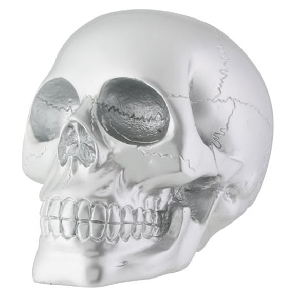 YTC SUMMIT 7748 Gorgeous Silver Skull Figurine Statue