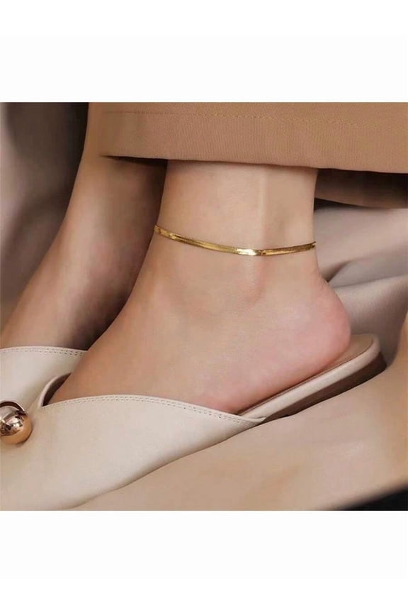 Silver Sleek Titanium Steel Snake Bone Flat Chain Anklet For Women Minimalist Hip Hop Style Stainless Steel Foot Jewelry