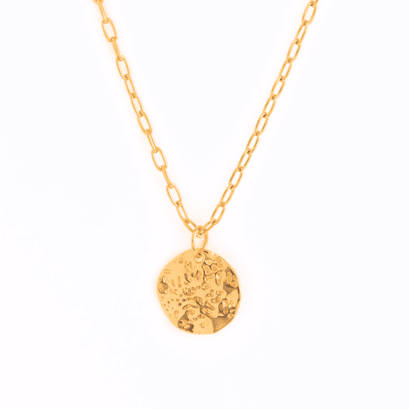 Belinda Jewelz Textured Coin Necklace, Vermeil Plated Sterling Silver, 20 Inch