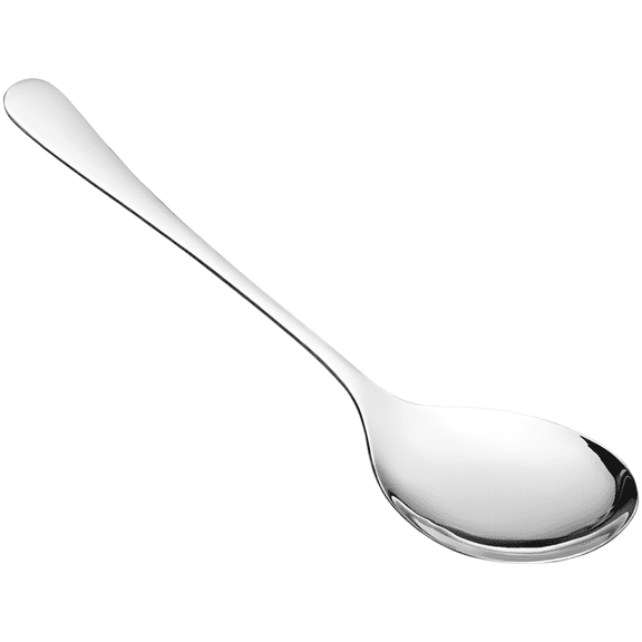 Silver Stainless Steel Serving Spoon, 9.8 in Big Serving Spoons Stainless Steel Basting Spoon, 2.4 in Wide Head, Solid Sauce Spoon with Mirror Polished Surface, Easy Clean